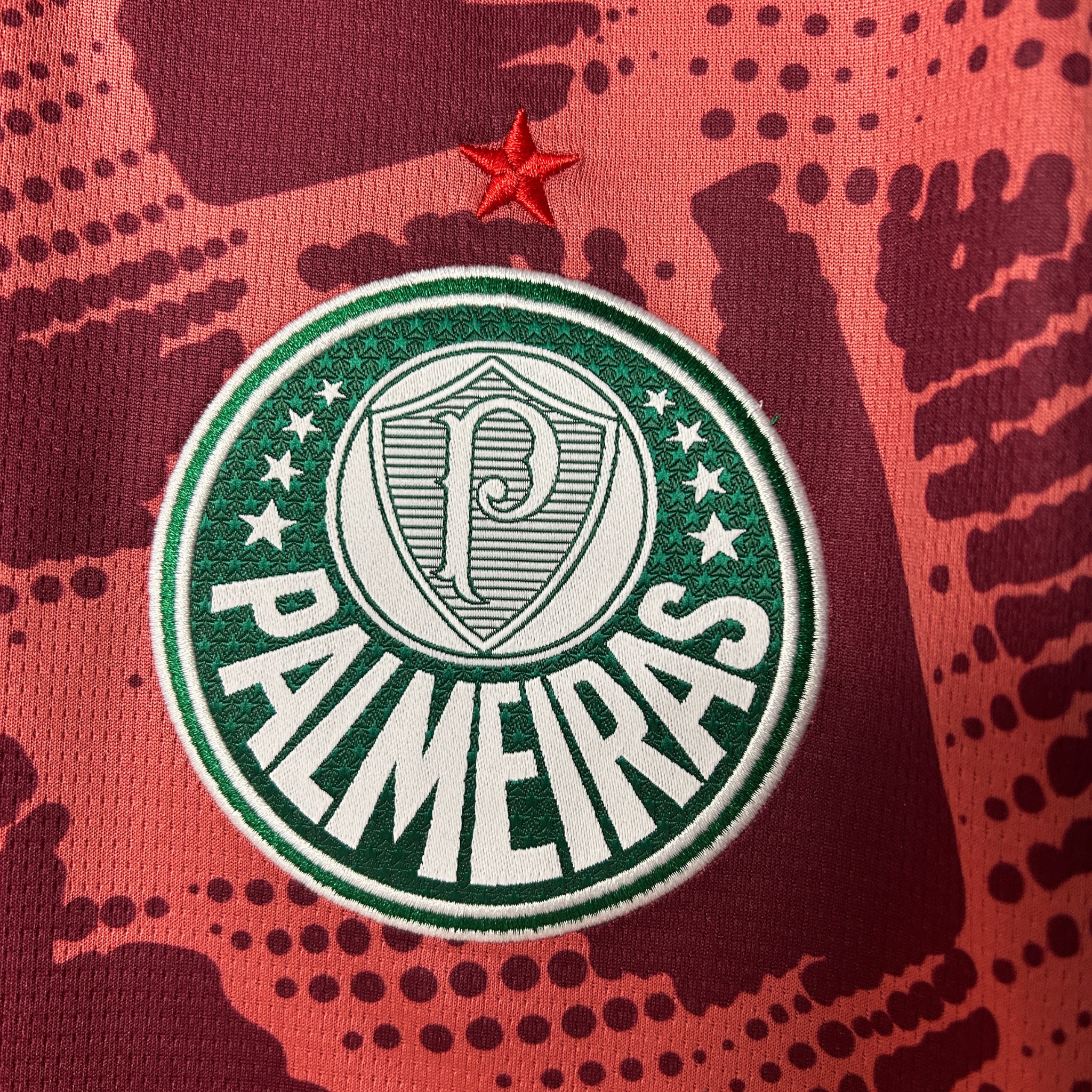 Jersey Palmeiras Goalkeeper III 25/26 Fan