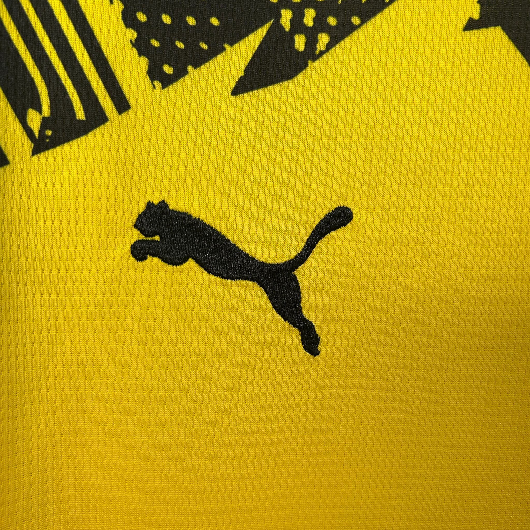 Jersey Borussia Dortmund I 25/26 Fan