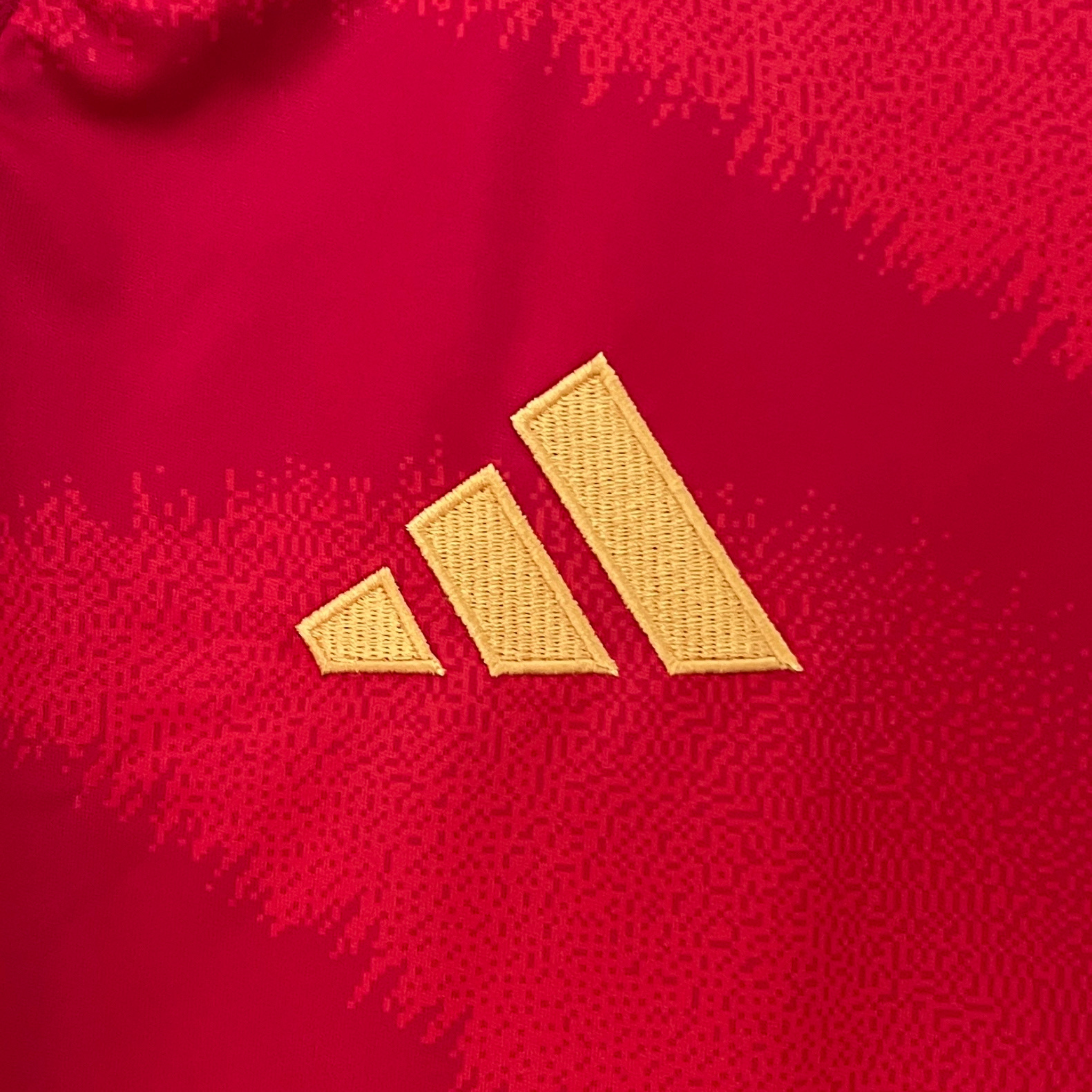 Jersey Spain I 24/25 Fan