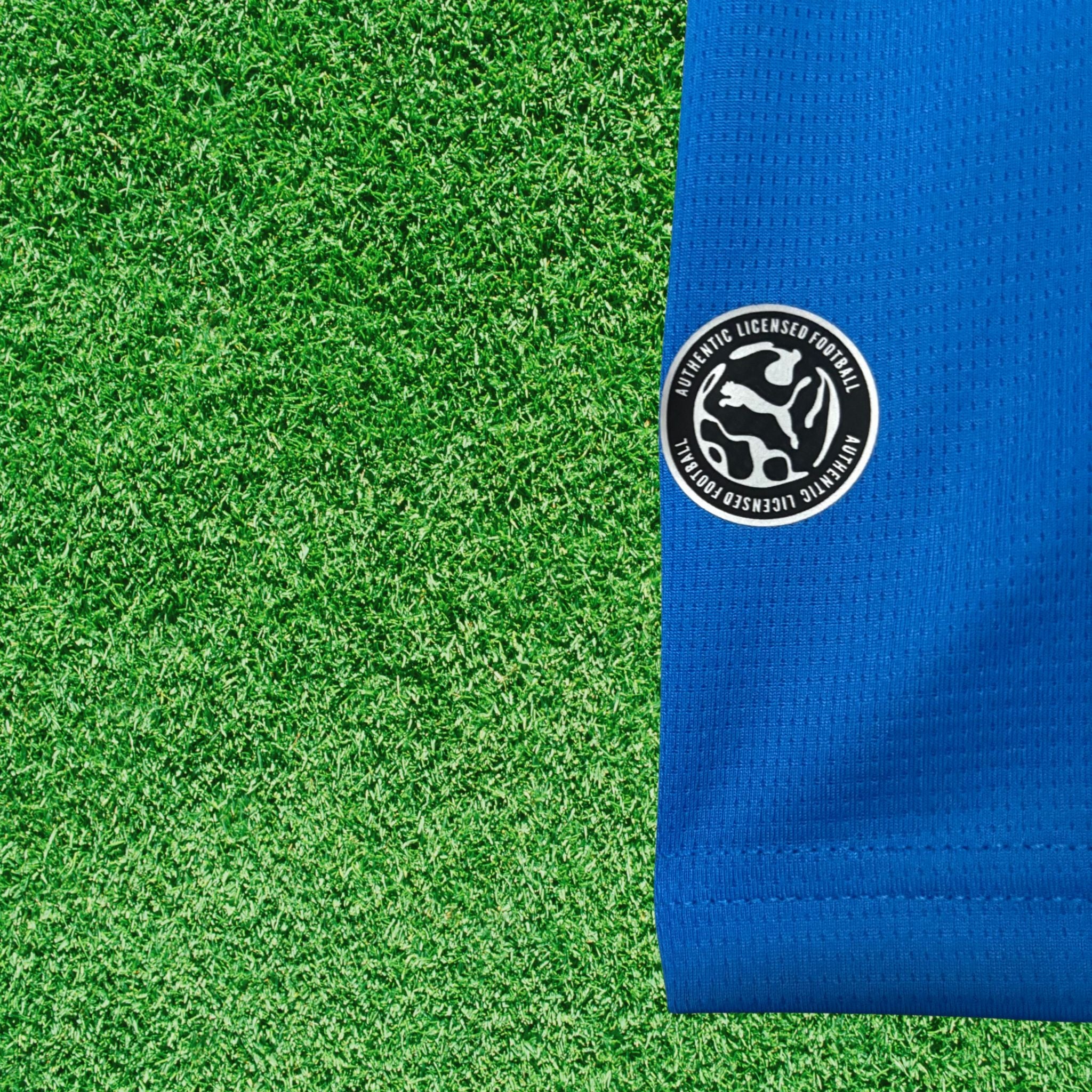 Jersey Iceland I 2026 Fan